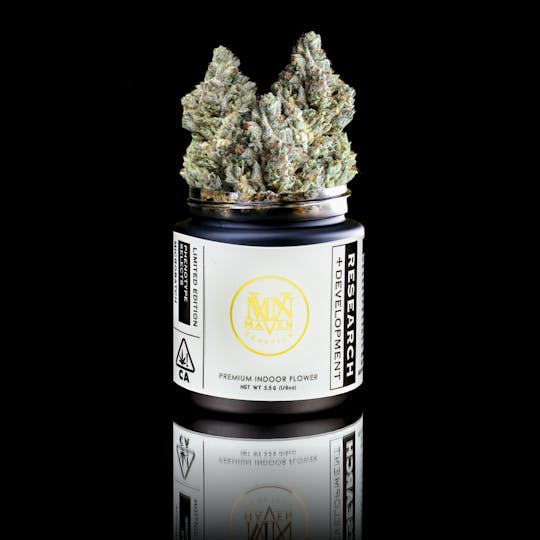 Maven Genetics - Maven OG x Zkz - 1