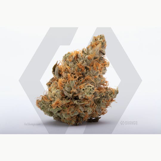 Shango - I95 Chem 1/8 - 1