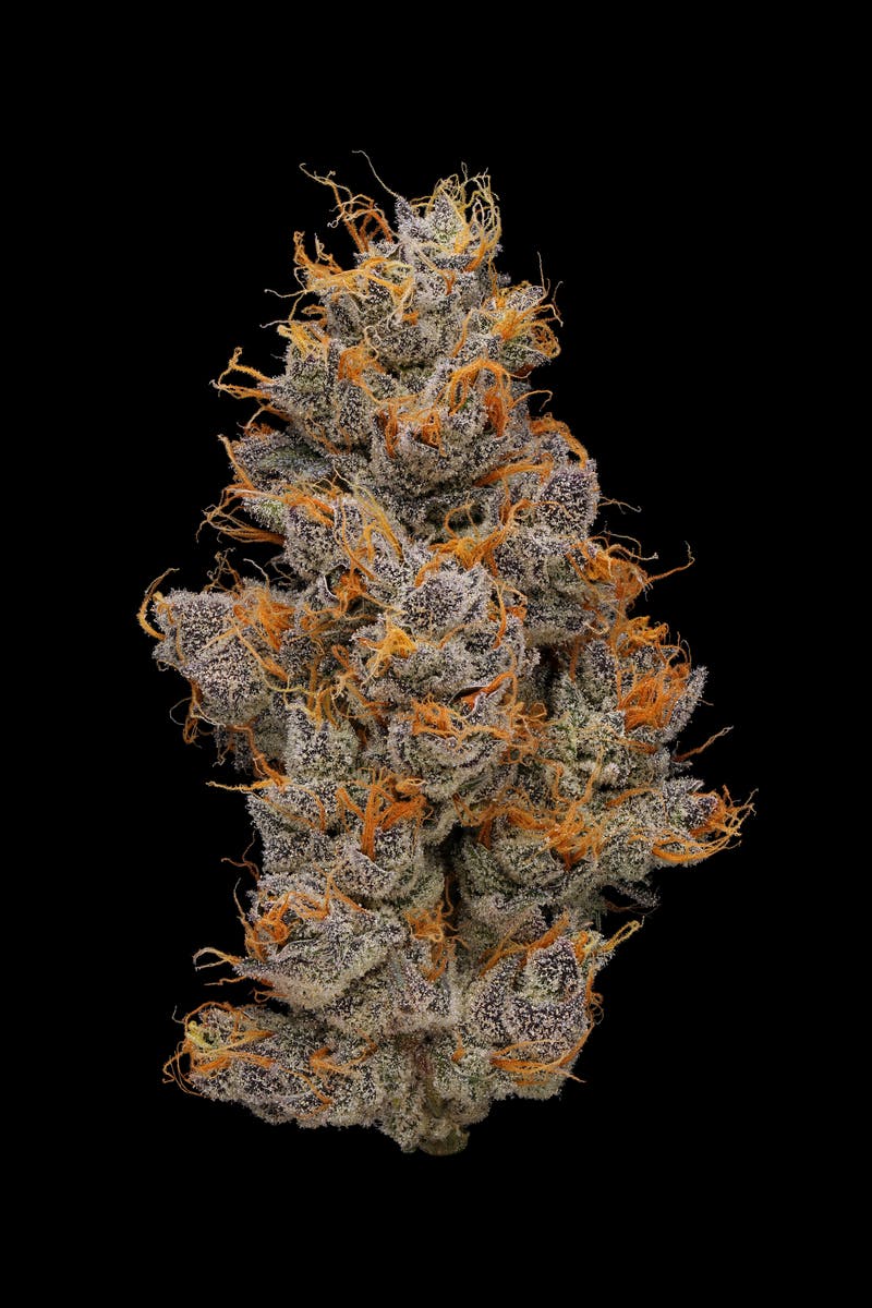 PHASES - Phases | Dreamcatcher | Couch Lock | Big Buds | 3.5g - 1