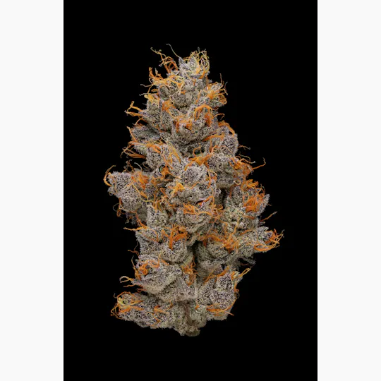 PHASES - Phases | Dreamcatcher | Couch Lock | Big Buds | 3.5g - 1