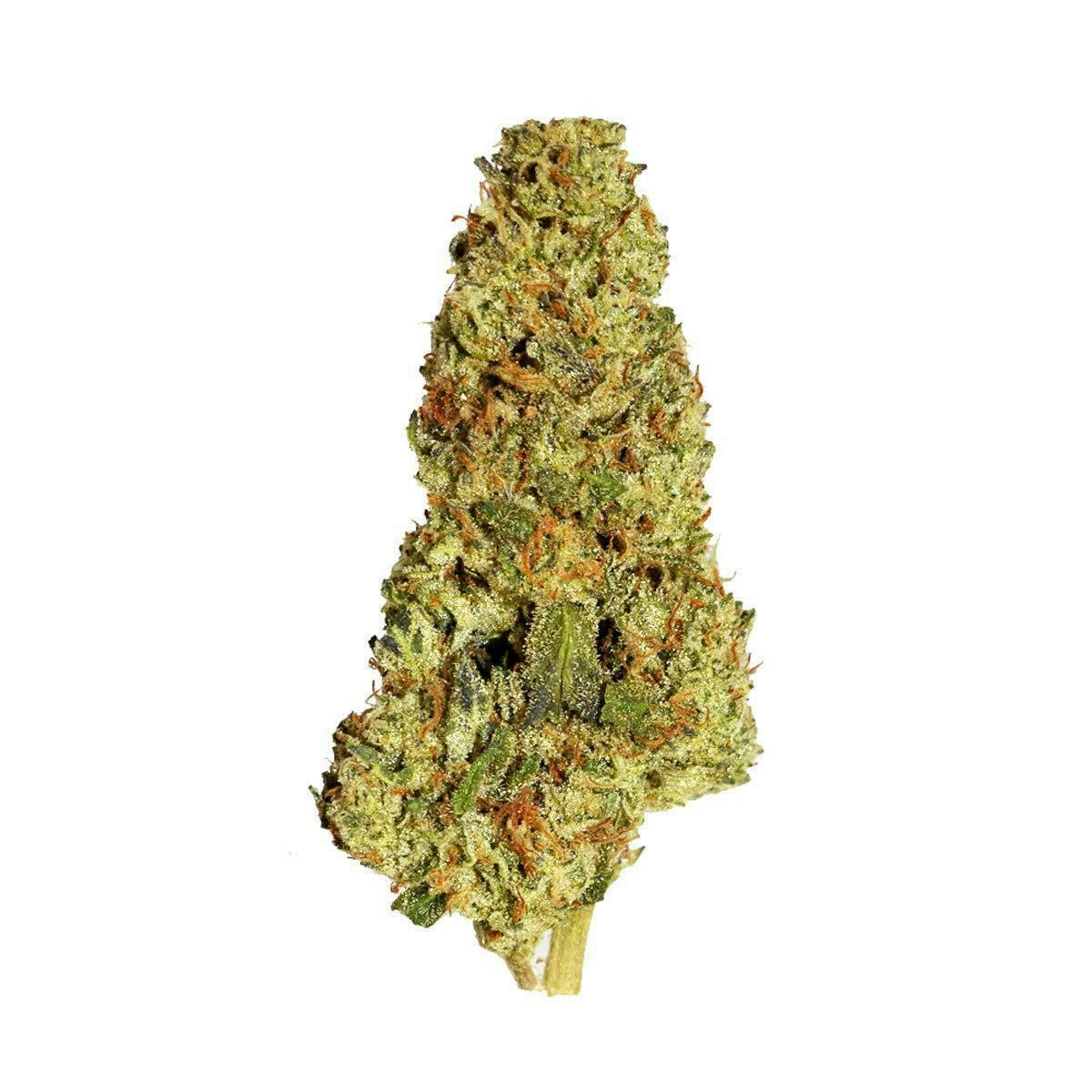 Smoakland - Smoakland Black | Red Velvet | Big Buds | 14g - 1