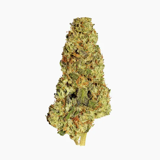 Smoakland - Smoakland Black | Red Velvet | Big Buds | 14g - 1