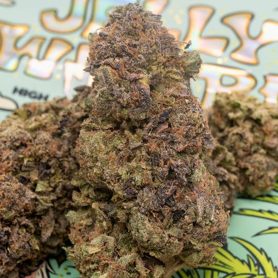 TEDS BUDZ - Magic Zkittlez - 1