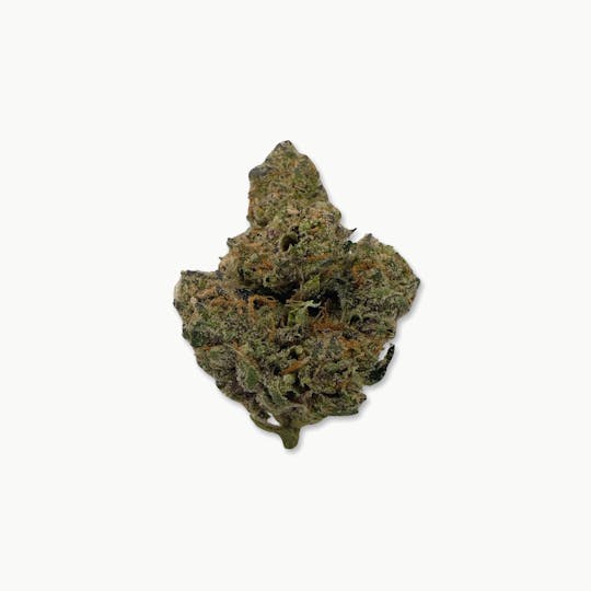 Indico - Sugar Puss - Supreme Gardens - 1