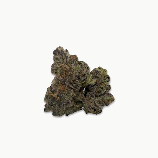 Indico - EmergenC - Supreme Gardens - 1