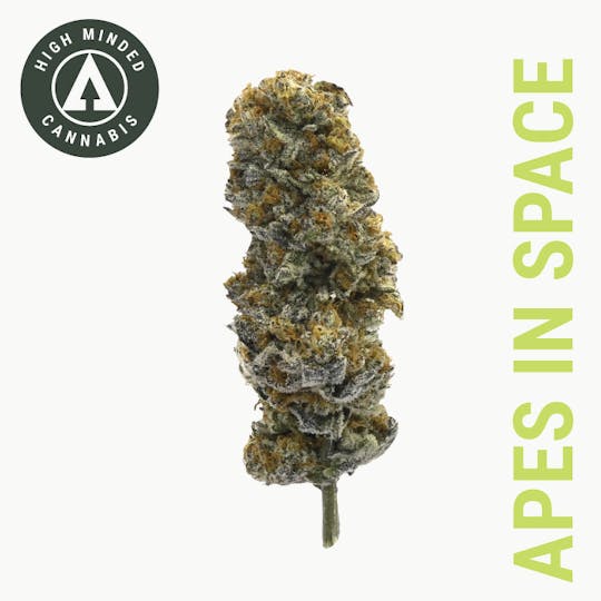 High Minded - Apes In Space - 1