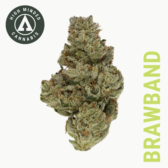 High Minded - Brawband - 1