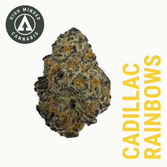 High Minded - Cadillac Rainbows - 1