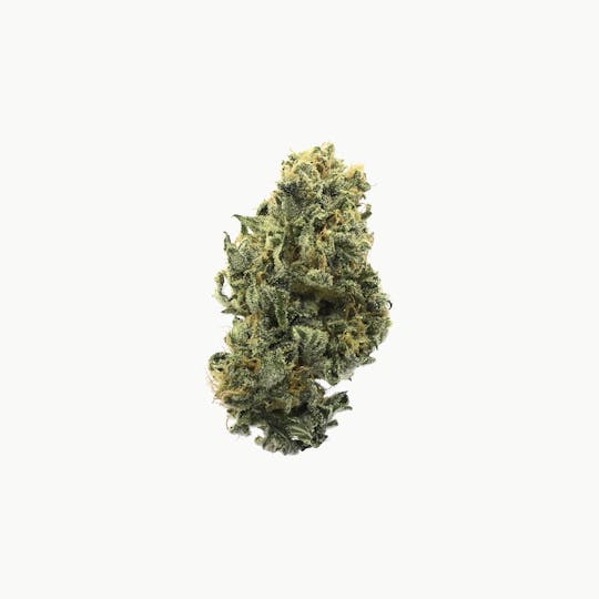 High Minded - Durban Grapefruit - 1