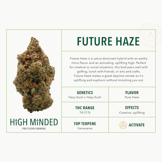 High Minded - Future Haze - 1