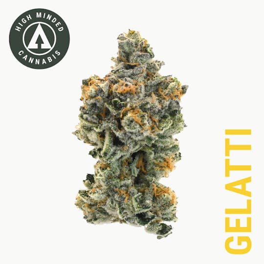 High Minded - Gelatti - 1