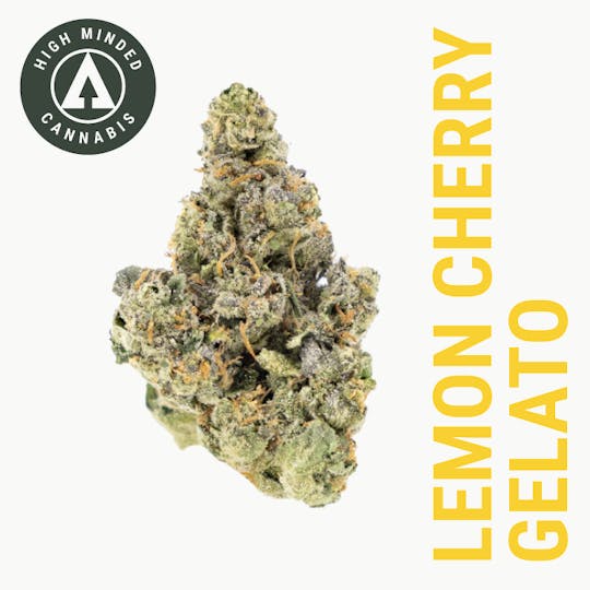 High Minded - Lemon Cherry Gelato - 1