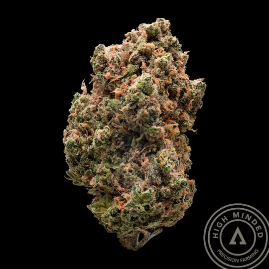 High Minded - Super Silver Haze - 1
