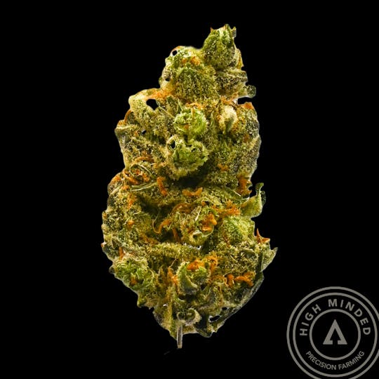 High Minded - Tiny Bomb - 1
