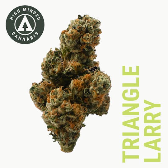 High Minded - Triangle Larry - 1