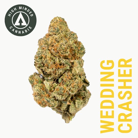 High Minded - Wedding Crasher - 1