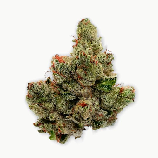 Zero Gravity Cannabis - Flower - Biscotti Cream 70/30 Indica Dominant - 1