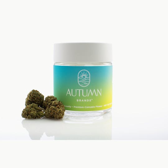 Autumn Brands - Limonene Liftoff - 1