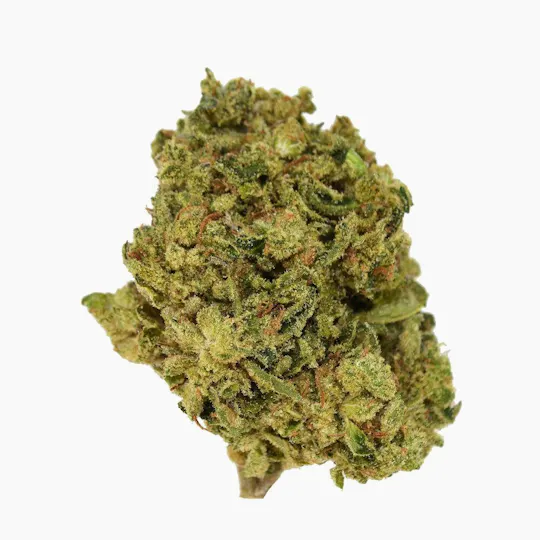 Smoakland - Smoakland Xclusivez | Purple Push Pop (I) | Big Buds | 28g - 1