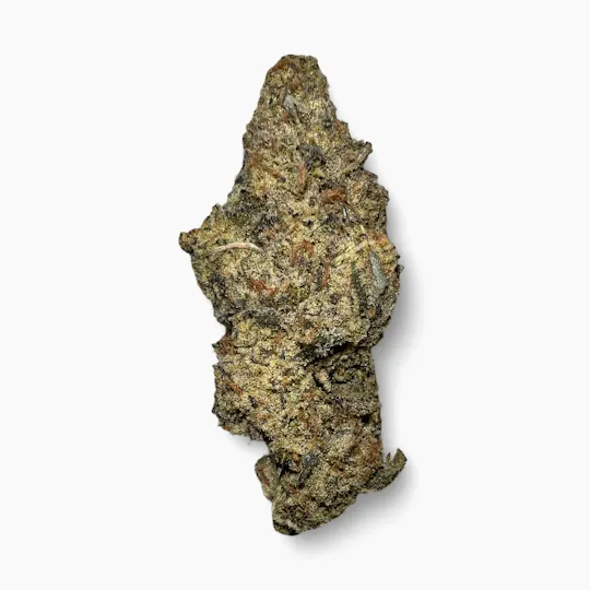 Indico - Platinum Lemon Cherry Gelato - Indico - 1
