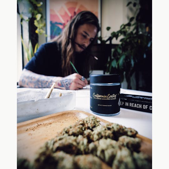 818 Brands - Cali Exotics - Hollywood Runtz - 3.5 - 1