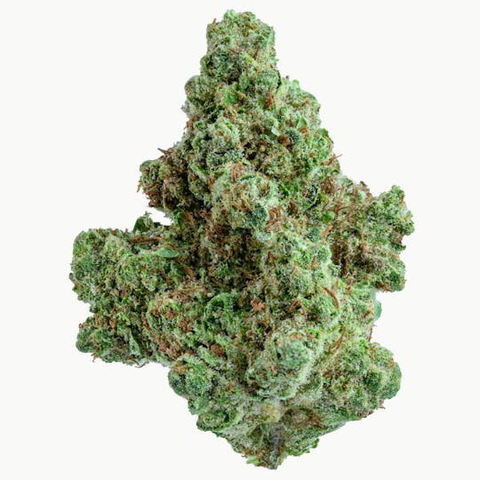 Gold Standard - GOLD STANDARD | BERRY PIE | 14G | SATIVA | - 1