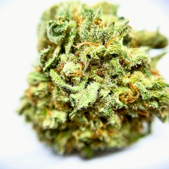 BeWell Organic Medicine - Mac N Cheese 3.5g Flower - 1