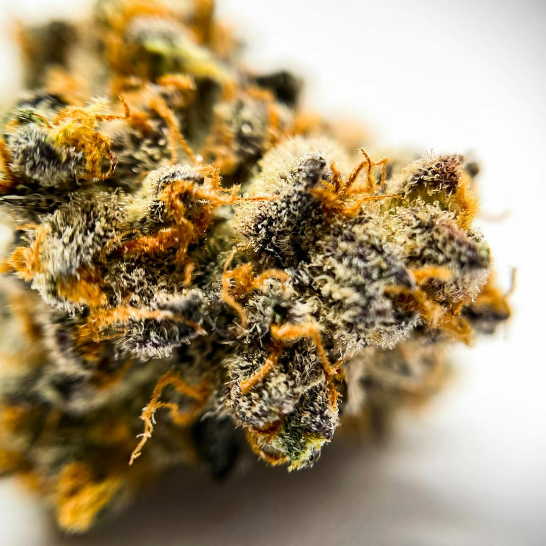 BeWell Organic Medicine - Jelly Pancakes 3.5g Flower - 1