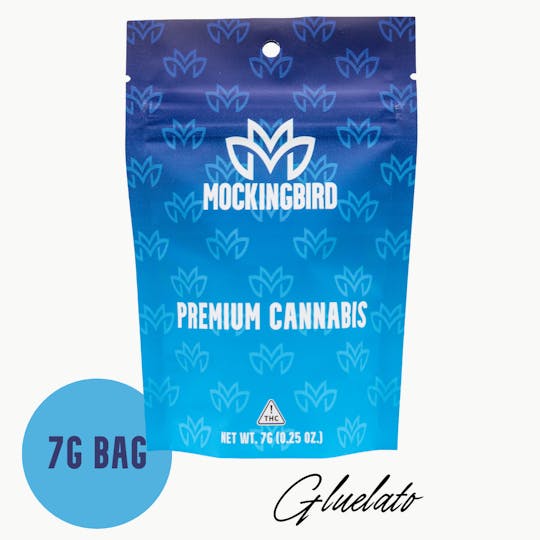 Mockingbird - Mockingbird Premium Flower: Gluelato 7g bag - 1