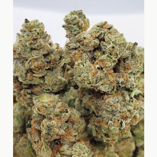 World Class Cannabis - Alien OG - 1