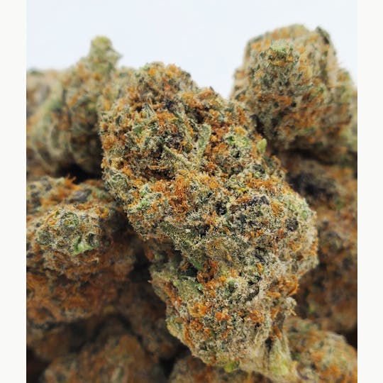 World Class Cannabis - Do-Si-Dos - 1