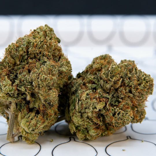 ThatGas Company - ThatGas | Ultra OG - 5G Flower - 1