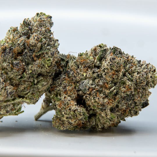 ThatGas Company - ThatGas | Fish Scale - 5G Flower - 1