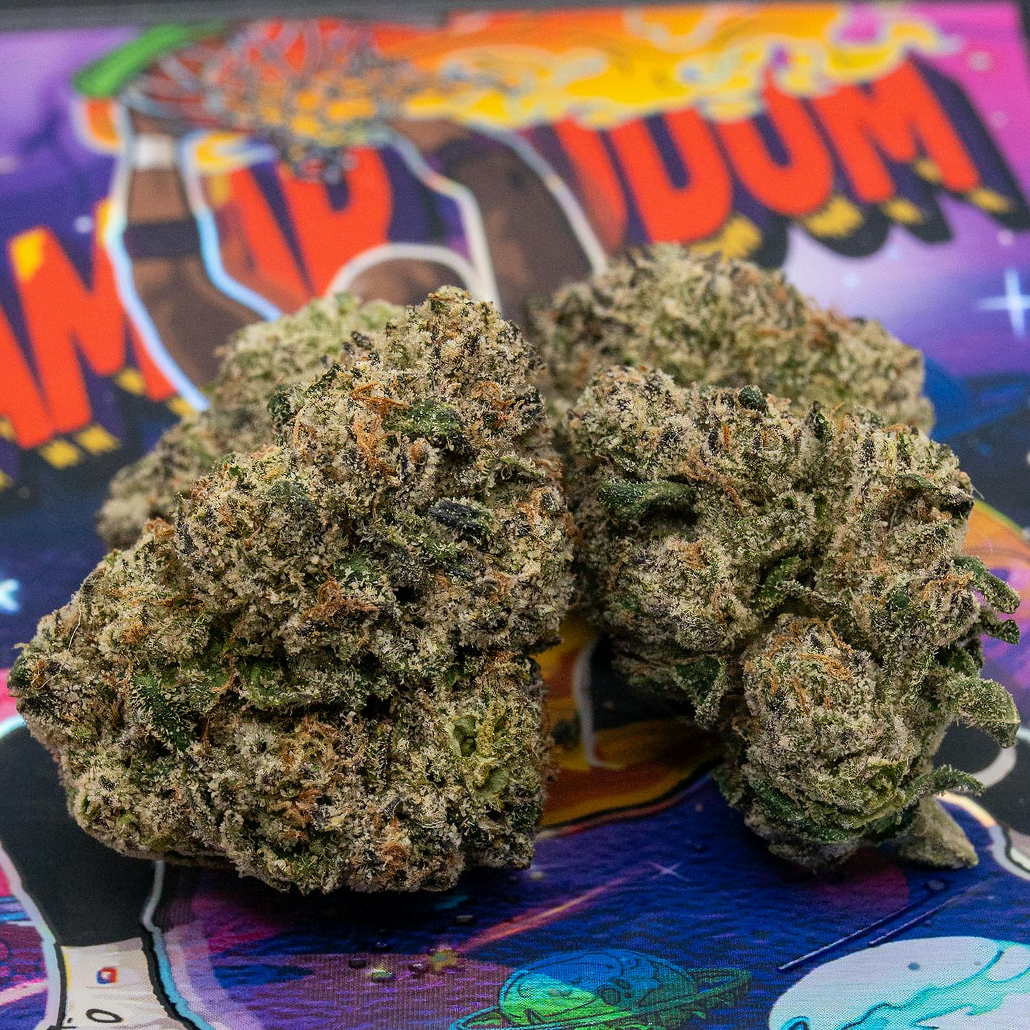 Lamar Odom - TEDS BUDZ