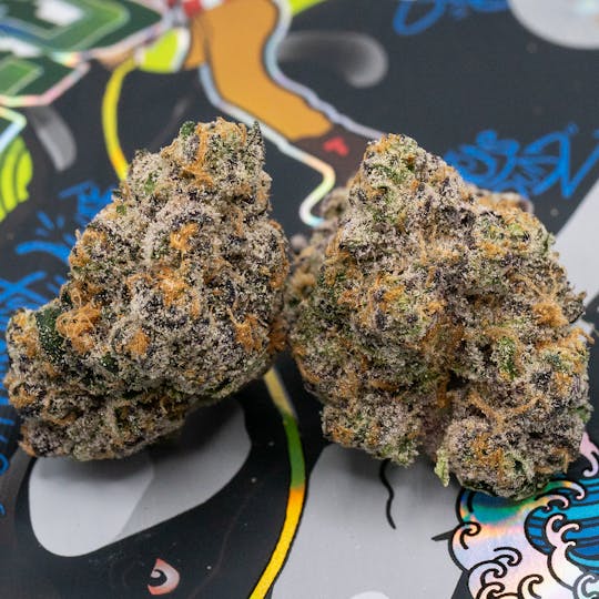 TEDS BUDZ - Blue Shamu - 1