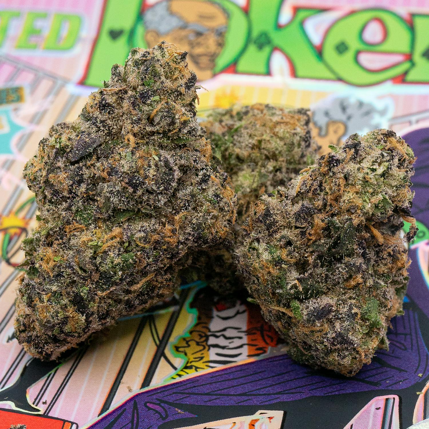 TEDS BUDZ - Ted Toker - 1