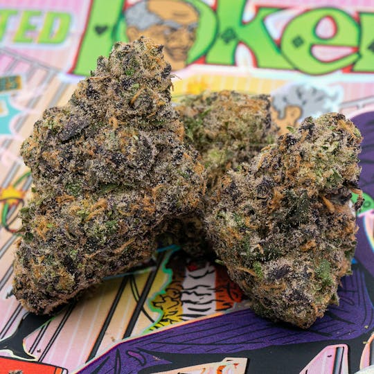 TEDS BUDZ - Ted Toker - 1