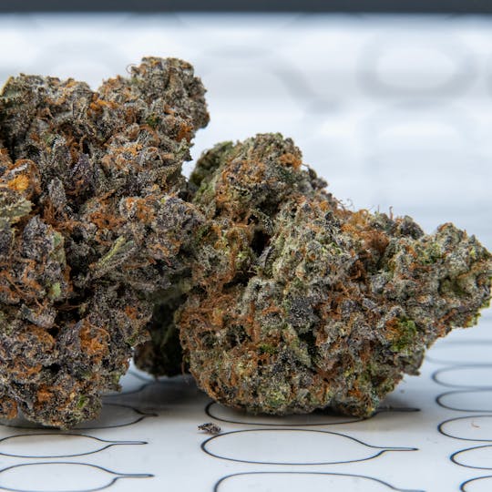 ThatGas Company - ThatGas | Permanent Marker - 5G Flower - 1