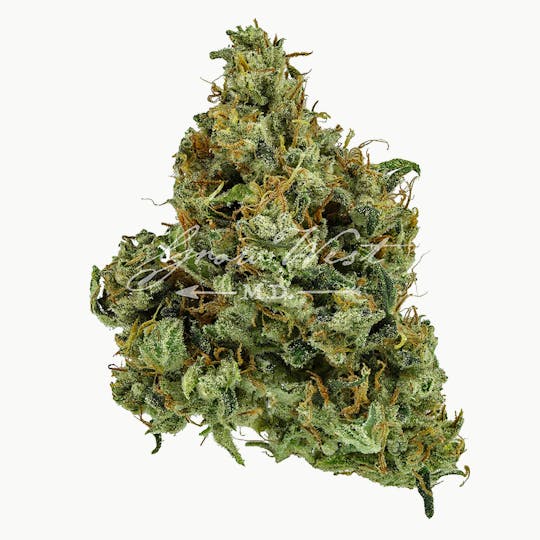 Grow West Cannabis Company - 3D | Gold | Trimmed Flower - 1