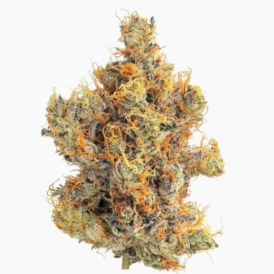 Zero Gravity Cannabis - Flower - 747 80/20 Sativa Dominant - 1