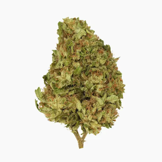 Smoakland - Smoakland | Wappa | Big Buds | 3.5g - 1