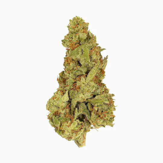 Smoakland - Smoakland Exotix | Jealousy | Big Buds | 14g - 1
