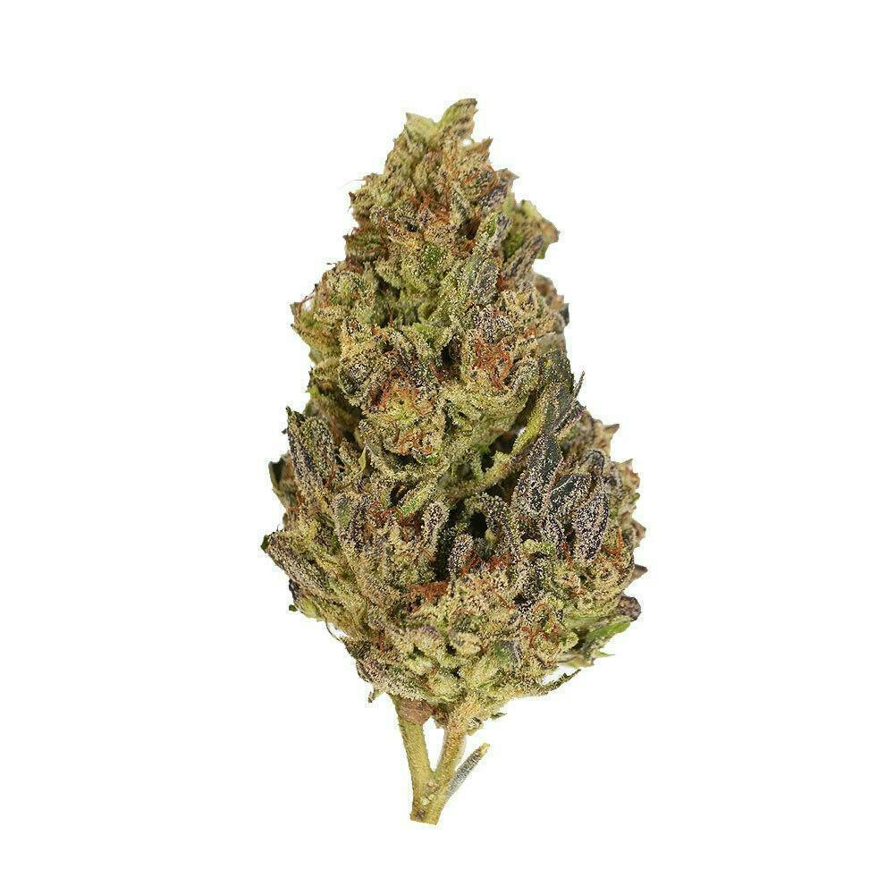 Smoakland - Smoakland | Banana Runtz | Big Buds | 3.5g - 1