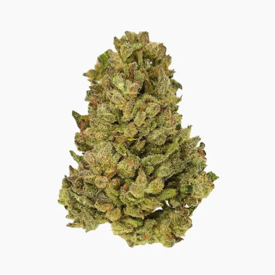 Smoakland - Smoakland Black | Triple OG (I) | Big Buds | 14g - 1