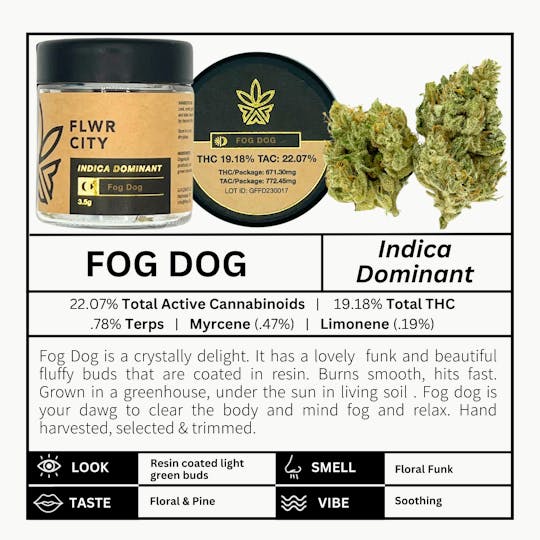 FLWR CITY COLLECTIVE - Fog Dog - 3.5g Jar Flower - 1