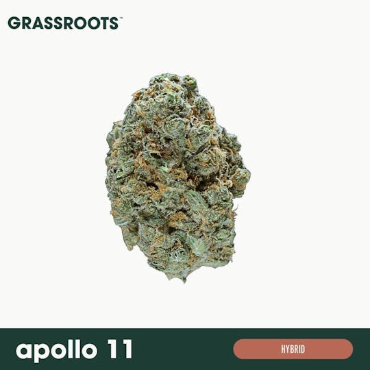 Grassroots - Apollo 11 Flower - 1