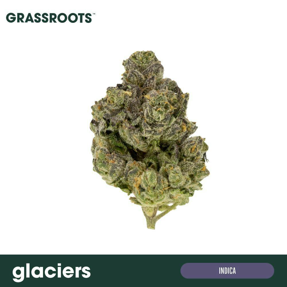Grassroots - Glaciers Flower - 1