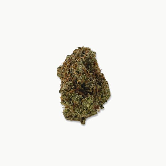 Indico - Clementine - Indico - 1