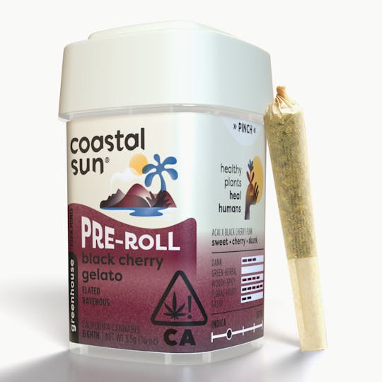 Coastal Sun - Black Cherry Gelato Greenhouse 0.35g Pre-Roll 10pk 3.5g - 1
