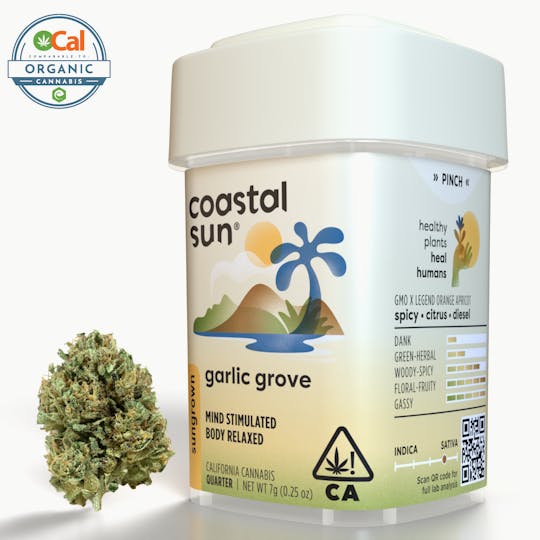 Coastal Sun - Garlic Grove Sungrown Flower 7g - 1